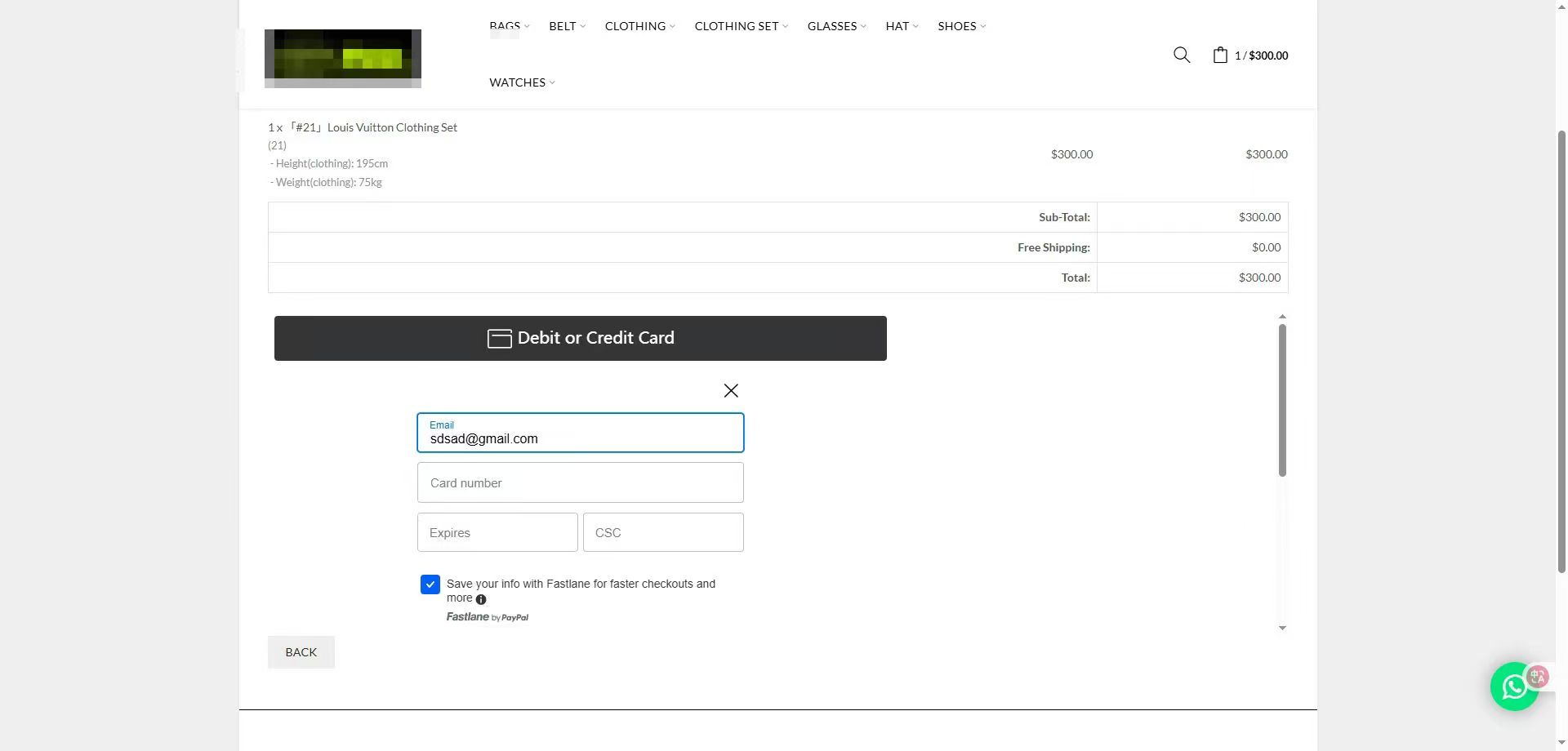 F牌独立站收款展示